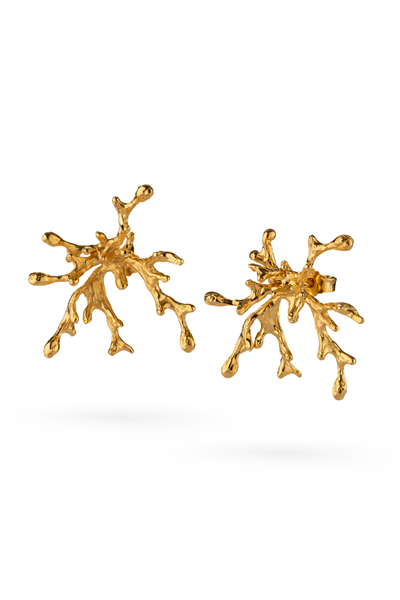 Gold-Plated Silver Earrings – Coral Growth