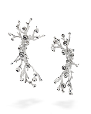 Silver Earrings - Coral Diamonds
